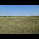 Im Naturschutzgebiet der Banater Sandwüste